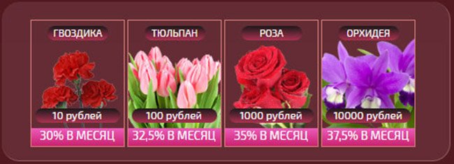 Цветочный бизнес